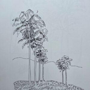 Palm Serenade